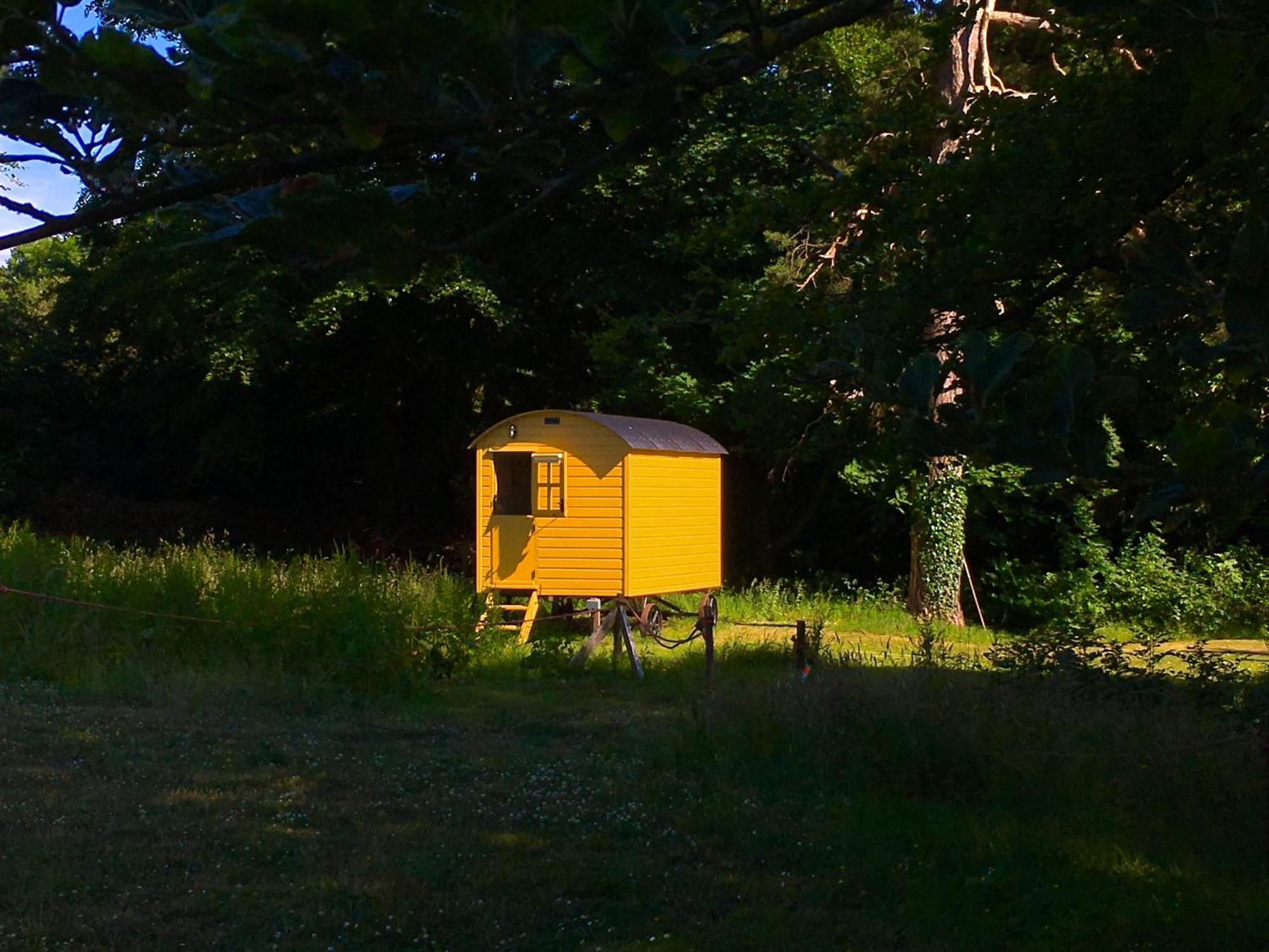 Blackstairs Shepherds Huts Killedmond エクステリア 写真