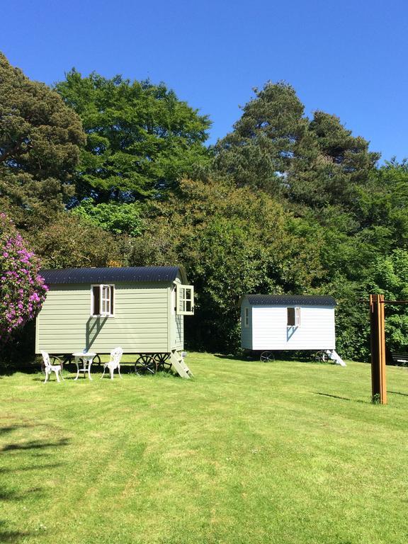 Blackstairs Shepherds Huts Killedmond エクステリア 写真