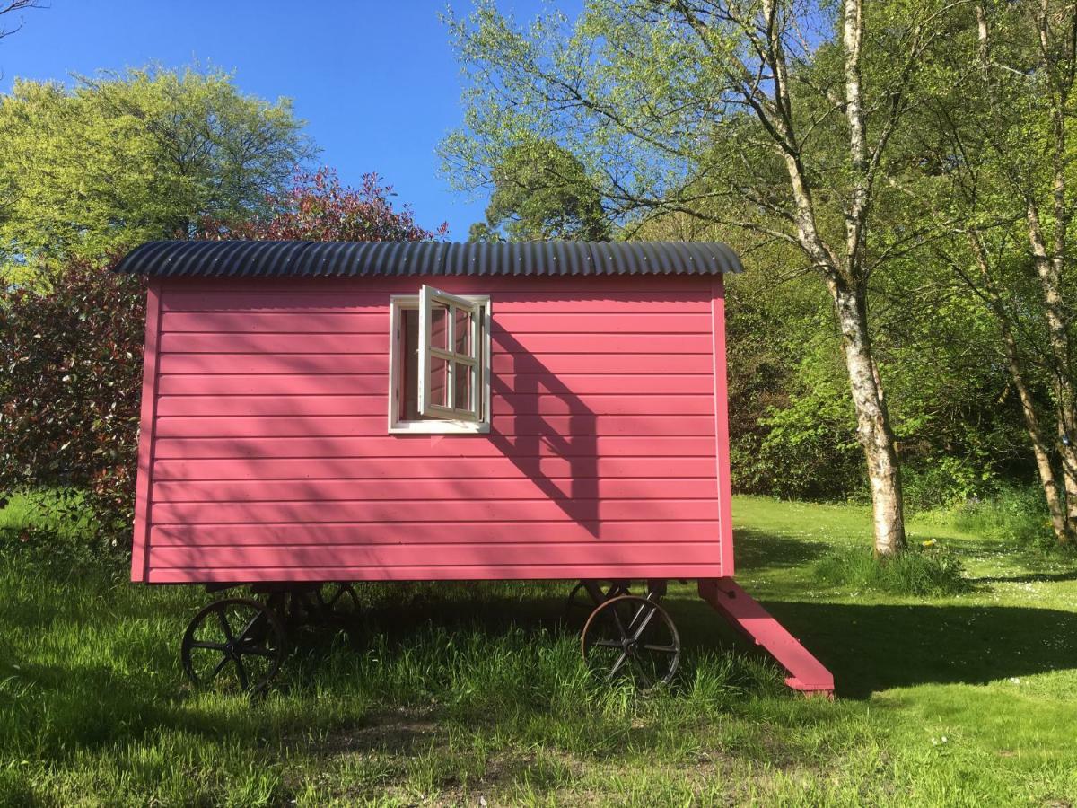 Blackstairs Shepherds Huts Killedmond エクステリア 写真